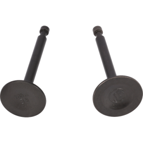 ENSEMBLE DE SOUPAPES KD100 N° 366