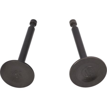 ENSEMBLE DE SOUPAPES KD100 N° 366