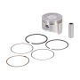 PISTON AVEC SEGMENTS ET AXE POUR KD107 N° 956