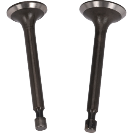 SOUPAPEES POUR KD110 N° 1998