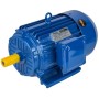 Moteur électrique 3,0 kW 380 V KD1816