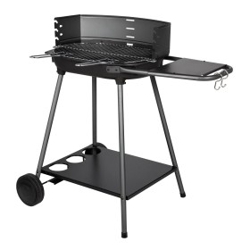 Barbecue au charbon de bois
