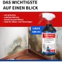 Spray anti-moisissures