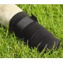 Chaussure robuste qui protège la patte de votre chien des blessures.